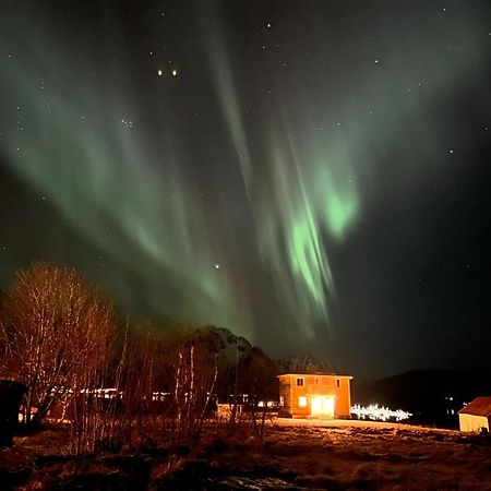 Pederstua, A Classic Fisherman'S Farm House In The Middle Of Lofoten Storeidet Extérieur photo