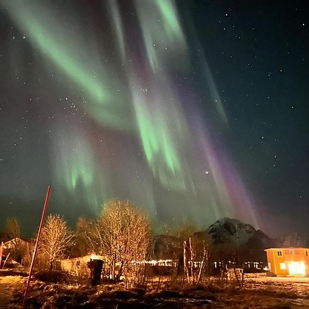 Pederstua, A Classic Fisherman'S Farm House In The Middle Of Lofoten Storeidet Extérieur photo