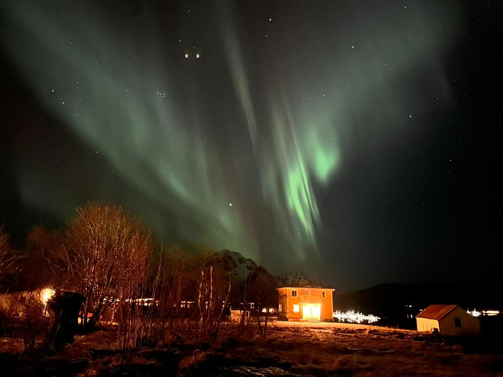 Pederstua, A Classic Fisherman'S Farm House In The Middle Of Lofoten Storeidet Extérieur photo