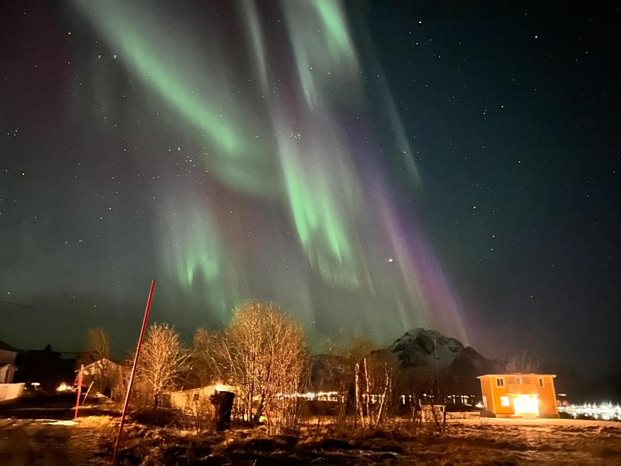Pederstua, A Classic Fisherman'S Farm House In The Middle Of Lofoten Storeidet Extérieur photo